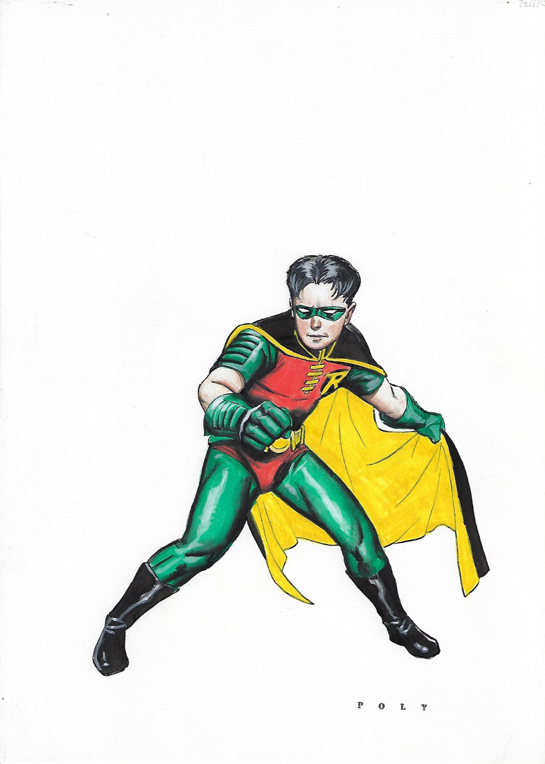 Robin Color Illustration